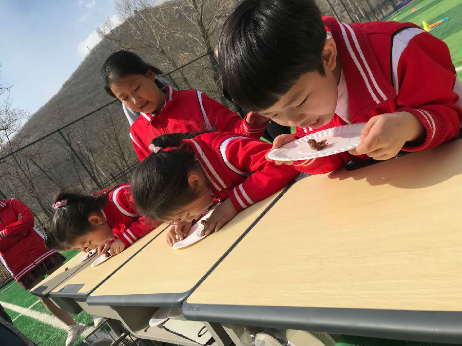 微信图片_20190502091019.jpg