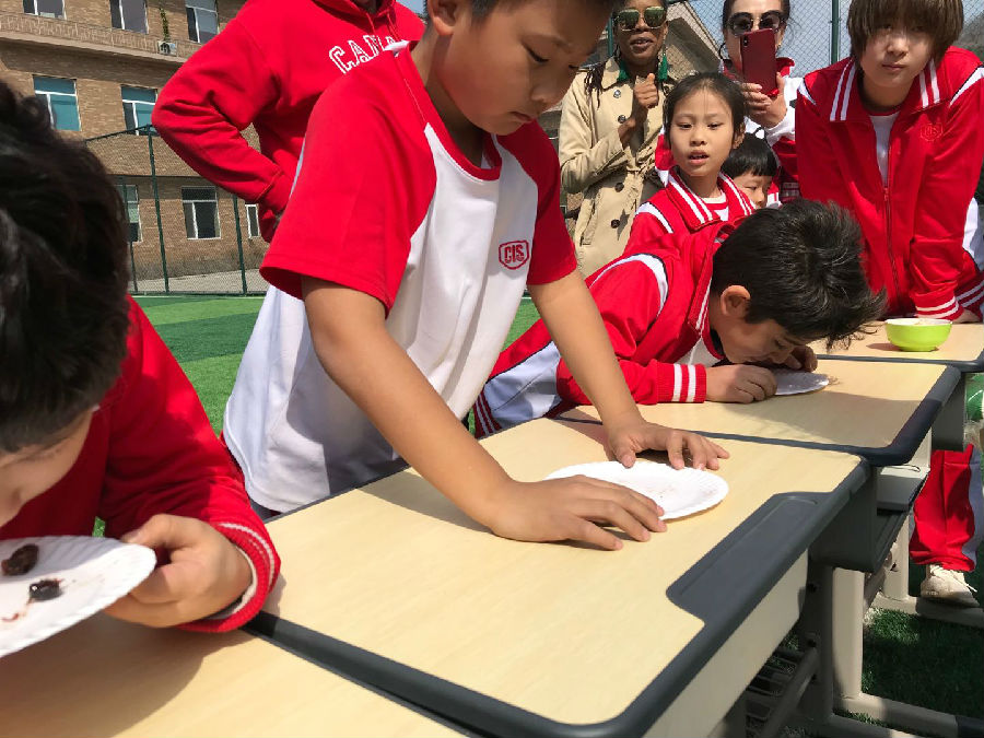 微信图片_20190502091025.jpg