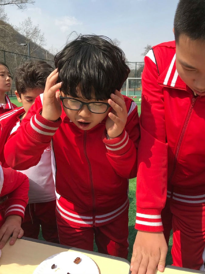 微信图片_20190502091049.jpg